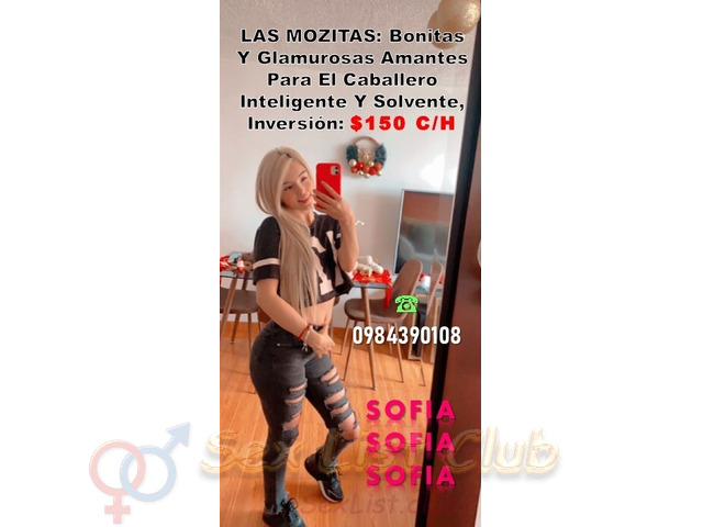 LA AGENCIA MOZITAS ESCORTS AGENCY LA AGENCIA MOZITAS ESCORTS AGENCY