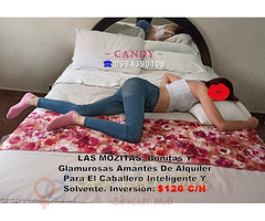 ELEGANTE NOVATA DE UN CUERPO ABSOLUTAMENTE TENTADOR PARAS SU OFICIO