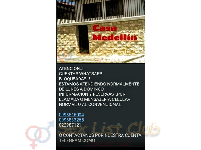 CASA MEDELLIN TRABAJANDO DE LUNES A DOMINGO Y FERIADOS RESERVAS 0998833265
