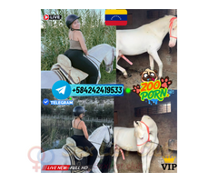 GRANJERA PUTA ZOOSEX PORNO TELEGRAM VIRTUAL VENTA Y SHOW VIDEO LLAMADAS