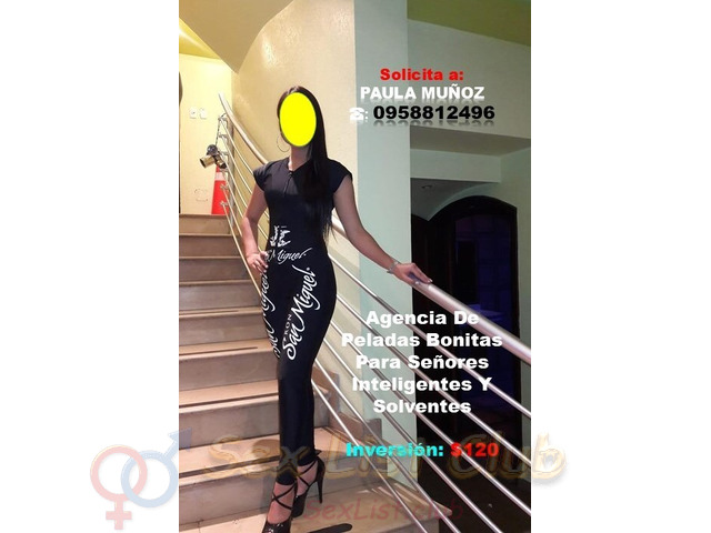 Para Ejecutivos Y Extranjeros Compañía Real Sin Promesas Vacías