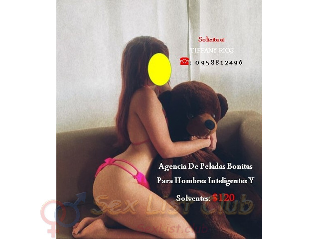 Para Ejecutivos Y Extranjeros Compañía Real Sin Promesas Vacías