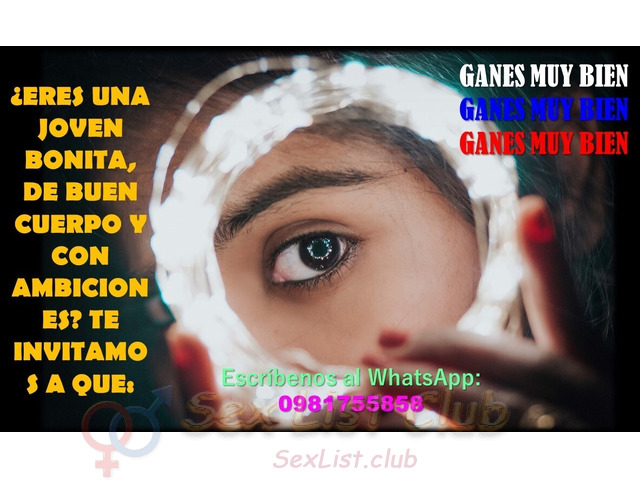 Ingresos Diarios y un Entorno a tu Altura