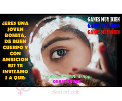 Ingresos Diarios y un Entorno a tu Altura