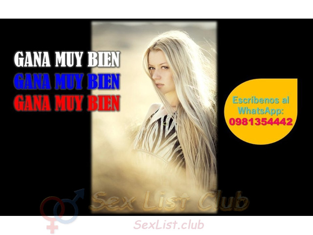 Elige Una Oportunidad Segura Y Bien Pagada