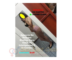 Compañía Premium Para Quienes Saben Elegir