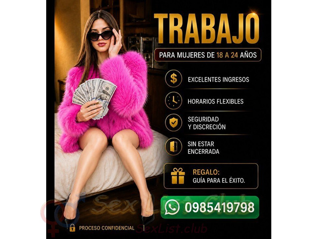 Ingresos Diarios En Un Entorno Elegante