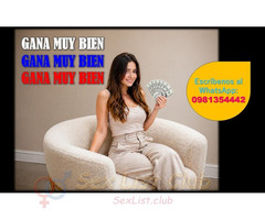 Ingresos Altos Discreción Total Y Libertad Ho