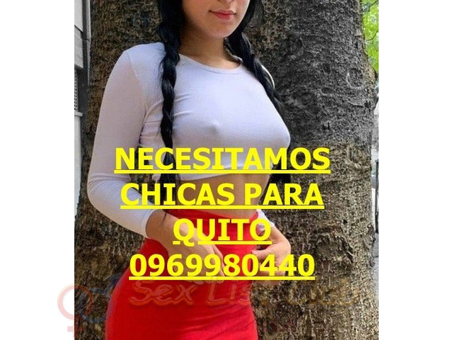 TRABAJA CONCHICAS INDEPENDINETES QUITO NORTE